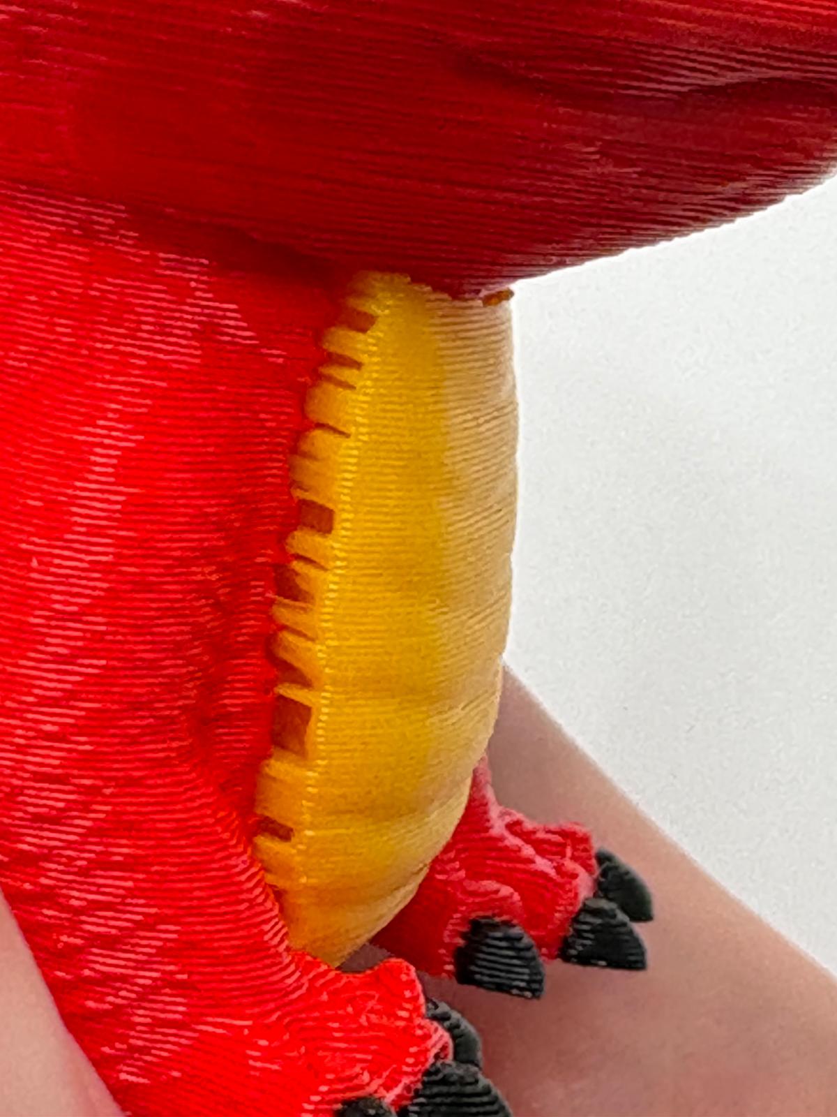 Close view before adjustment showing repeated bumps on the opposite red and yellow belly edge